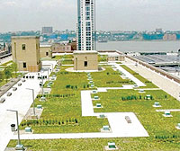 Telhado verde em Nova York