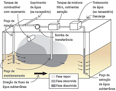 i181514 Biorremediação