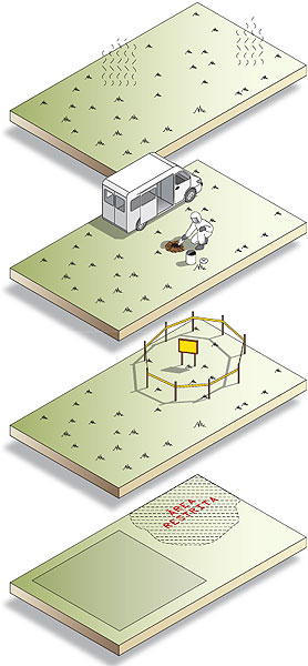 fases da descontaminação do solo